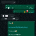 WhatsApp Image 2026-02-11 at 12.45.13